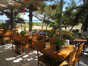 Atlitur Gumusdere Beach Camp - Restaurant