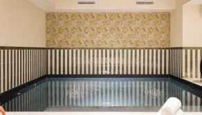 Hôtel Lepoussin - Pool