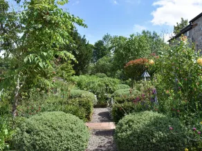 Yew Tree - Innvendig
