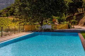 Quinta da Portela Douro - Piscine