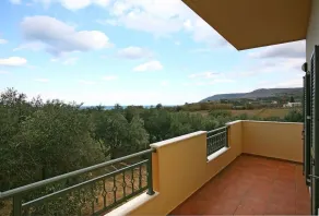 Olive Tree Farm 200m from the beach - Vista dalla camera