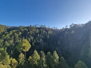 Goroomgo Stay Well Chamba - View from room