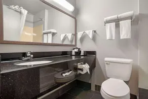 Quality Inn & Suites Birmingham - Highway 280 - Salle de bain