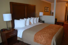 Comfort Inn & Suites Houston West-Katy - Chambre