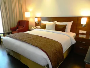 Hotel Marigold Jaipur - Room