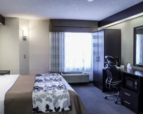 Sleep Inn Garner - Clayton - Værelse
