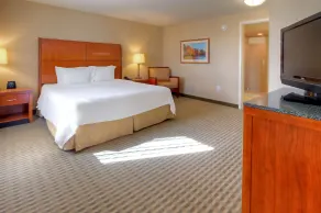 Hilton Garden Inn Great Falls - Chambre