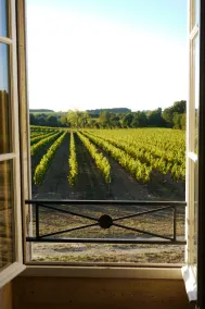 Chateau La Maronne - Udsigt fra værelset