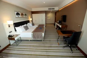Radisson Blu Hotel, Diyarbakir - Room