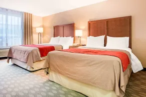 Comfort Inn Fallsview - Chambre