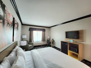 Days Inn by Wyndham Baton Rouge I-10 - Chambre