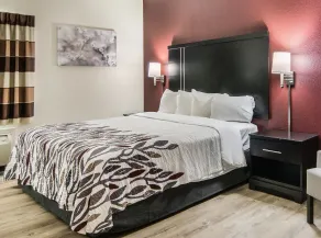 Red Roof Inn Binghamton North - Chambre