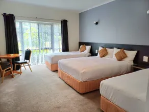 Golden Chain Country Plaza Motel Halls Gap - Chambre