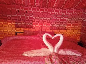 Ibex Camps Jispa - Chambre