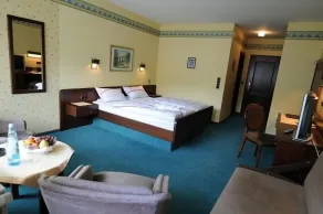 Hotel Central - Room