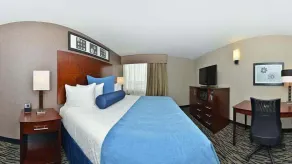Wyndham Garden Elk Grove Village - O'Hare - Chambre
