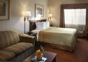 Quality Inn & Suites Near University - Chambre
