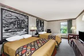 Super 8 by Wyndham Erwin, I-26 Exit 37 - Chambre