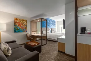 SpringHill Suites by Marriott Bradenton Downtown/Riverfront - Room