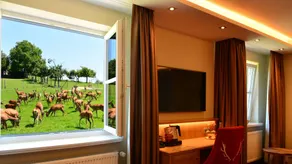 Hotel Zur Post - Ausblick vom Zimmer