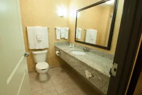 Comfort Suites Speedway - Kansas City - Salle de bain