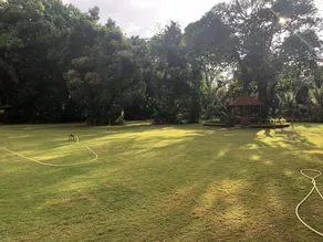 The Lalit Ashok - Vue de la chambre