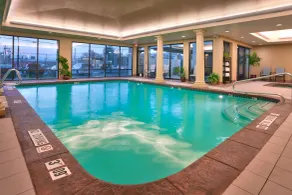 Hampton Inn Salt Lake City - Downtown - Piscine