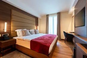 Hotel De‘Andros Virpazar - Værelse