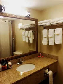 Econo Lodge Darien Lakes - Salle de bain