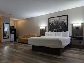 Super 8 by Wyndham Thunder Bay - Værelse