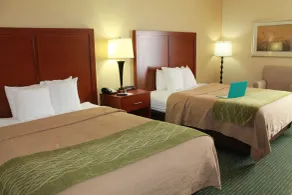 Comfort Inn Douglasville - Atlanta West - Chambre