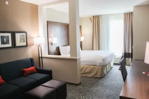 Comfort Suites - South Austin - Room