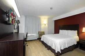 Red Roof Inn PLUS+ Palm Coast - Chambre