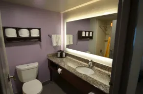 La Quinta by Wyndham Clarksville - Salle de bain