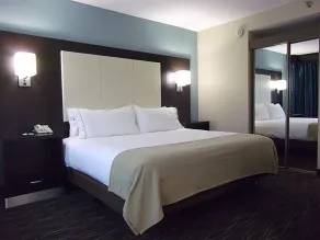 Holiday Inn Express Boise Downtown by IHG - Chambre