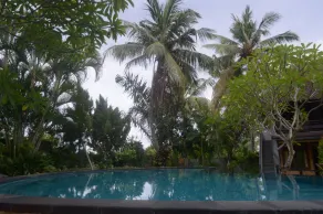 Kangkung Cottages - Pool