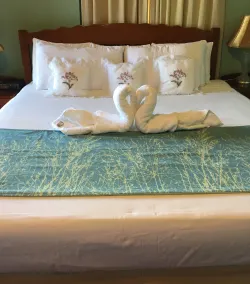 Rolson Hotel - Room