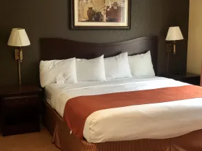 Country Inn & Suites by Radisson, Hot Springs, AR - Chambre
