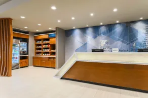 SpringHill Suites by Marriott San Jose Fremont - Réception