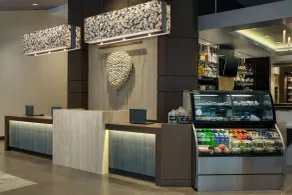 Hyatt Place Chicago/Downtown - The Loop - Réception