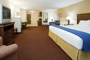 Holiday Inn Express Airport East by IHG - Chambre