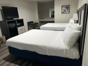 Salt Creek Lodge - Camera