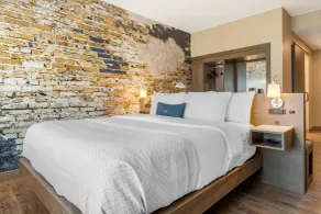 Cambria Hotel Fort Mill - Chambre