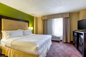 Holiday Inn Indianapolis North-Carmel by IHG - Chambre