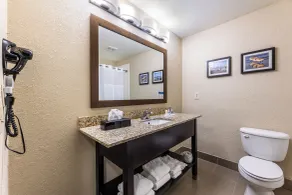 Comfort Suites Lake Jackson Clute - Salle de bain