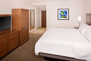 Holiday Inn Express Hotel & Suites Austin Downtown - University by IHG - Chambre