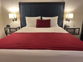 Choco's Hotel - Chambre
