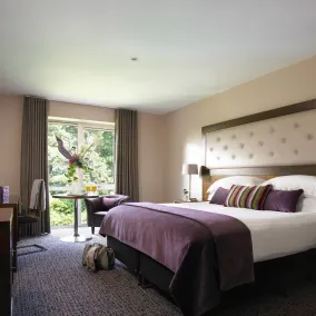 Dunboyne Castle Hotel & Spa - Room
