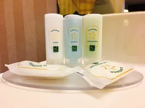 Quality Inn Vienna - Tysons Corner - Salle de bain