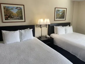 University Inn Duke - Chambre